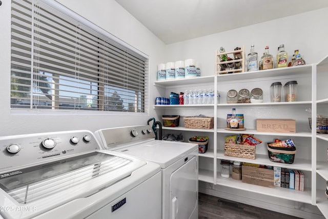 laundry area featuring washer and clothes dryer and dark hardwood / wood-style floors