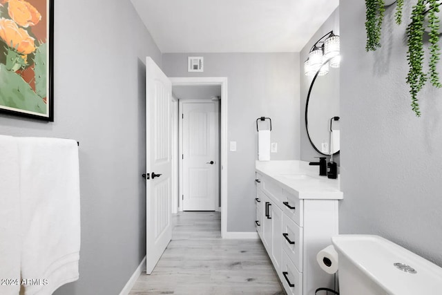 bathroom with hardwood / wood-style floors and vanity