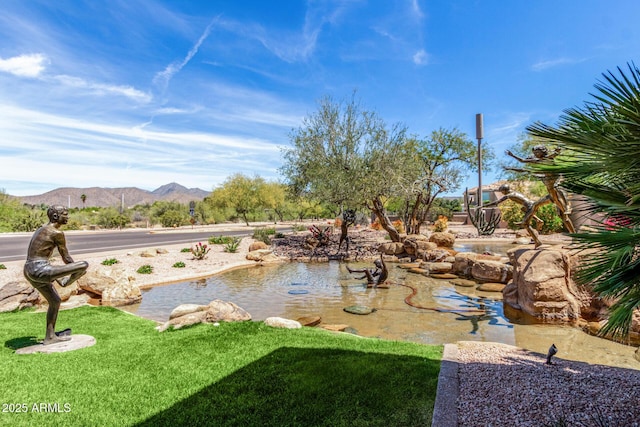surrounding community with a mountain view and a garden pond