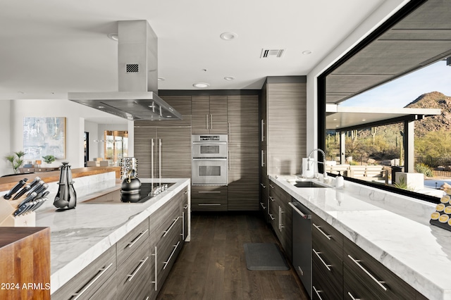 kitchen featuring appliances with stainless steel finishes, sink, island exhaust hood, and a healthy amount of sunlight