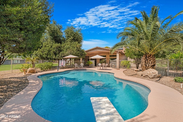 view of swimming pool with a diving board and a patio