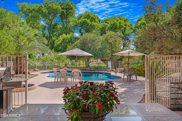 view of swimming pool featuring a patio