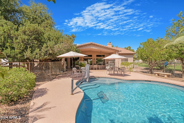 view of swimming pool with a patio area