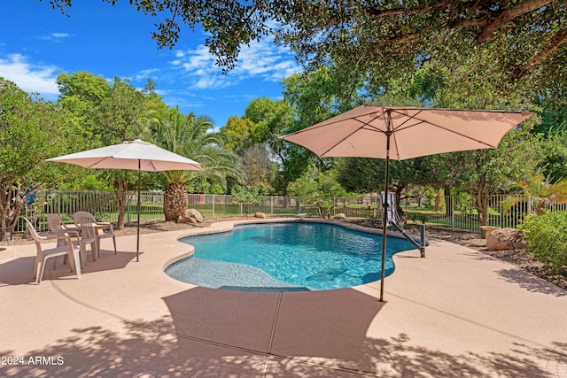 view of pool with a patio area