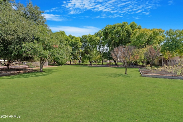 view of home's community featuring a yard