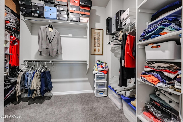 spacious closet featuring carpet flooring