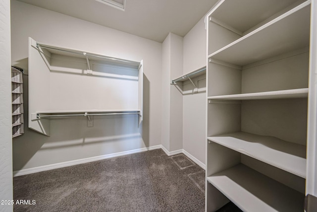 spacious closet featuring carpet floors