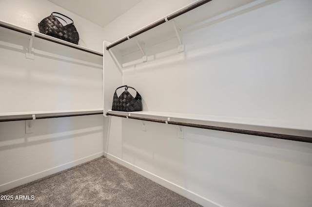 10136 E Ursula Ave, Mesa, AZ 85212 - spacious closet with carpet