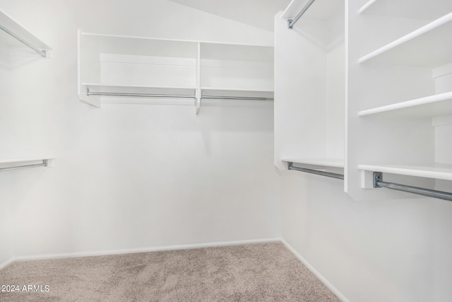 walk in closet with carpet flooring