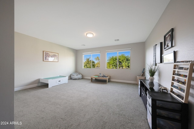 sitting room with carpet flooring