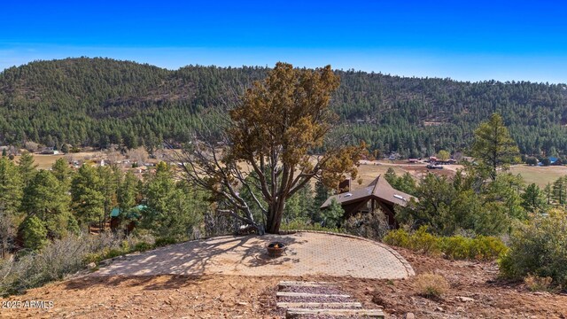 9661 W Coyote Dr, Strawberry, AZ 85544 - mountain view featuring a forest view