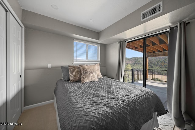 9661 W Coyote Dr, Strawberry, AZ 85544 - bedroom with carpet flooring, baseboards, access to outside, visible vents, and a closet