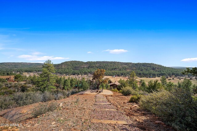 9661 W Coyote Dr, Strawberry, AZ 85544 - view of mountain feature featuring a view of trees