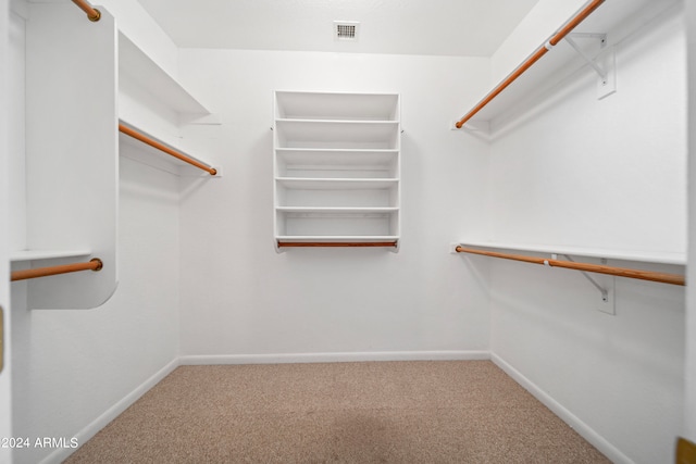 spacious closet with carpet floors