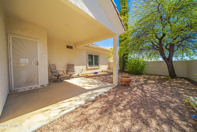 view of yard featuring a patio area