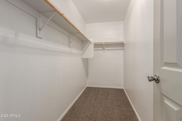1255 S Rialto Unit 115, Mesa, AZ 85209 - spacious closet with carpet floors