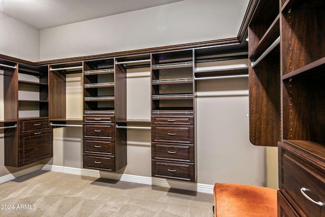 spacious closet with light colored carpet