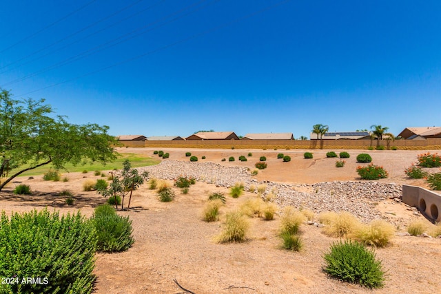 view of yard featuring a rural view