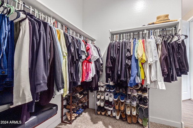 spacious closet featuring carpet