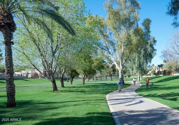 surrounding community with a yard