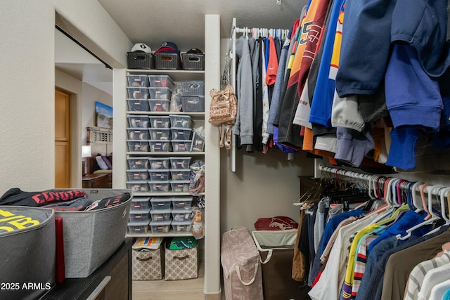 spacious closet featuring hardwood / wood-style flooring