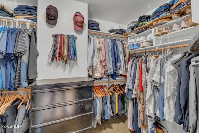 1264 S Sierra St, Gilbert, AZ 85296 - spacious closet featuring carpet flooring