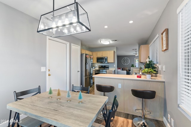 dining space featuring light hardwood / wood-style floors and plenty of natural light