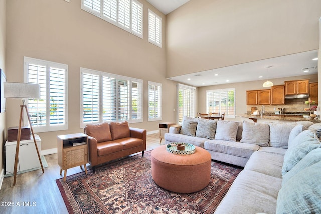 living room with wood-type flooring, a towering ceiling, and sink