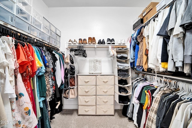 walk in closet featuring carpet floors