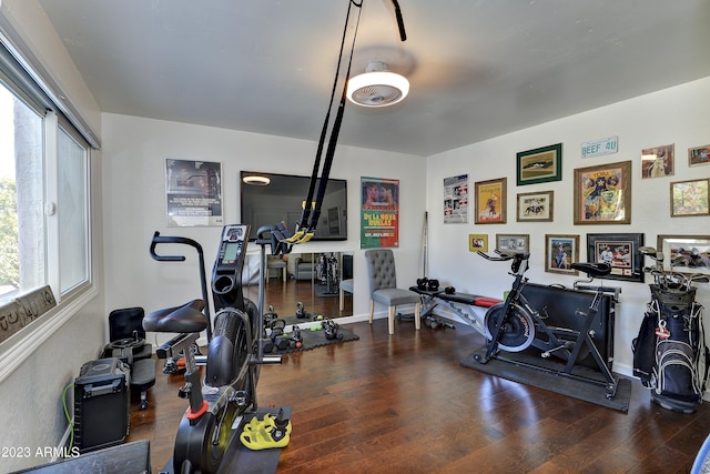 workout room featuring wood finished floors