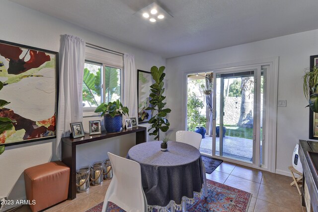 tiled dining area featuring a wealth of natural light