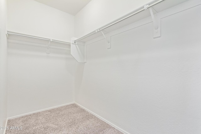 spacious closet with carpet floors