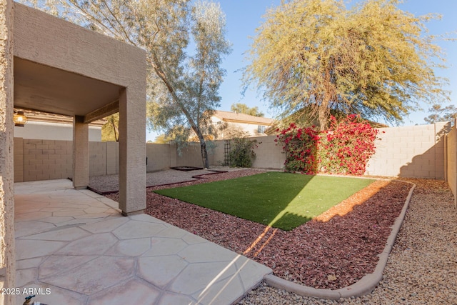 view of yard with a patio