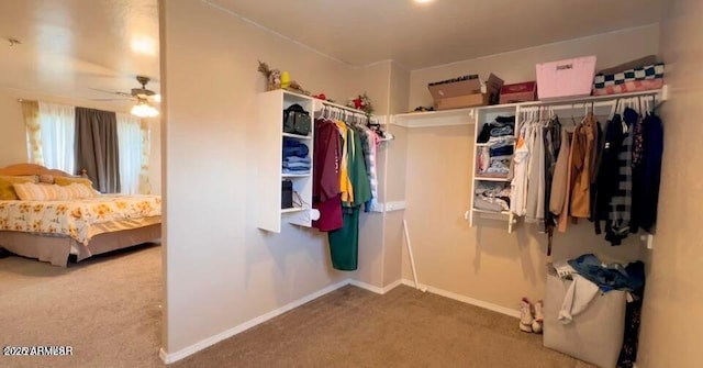 spacious closet featuring carpet and ceiling fan