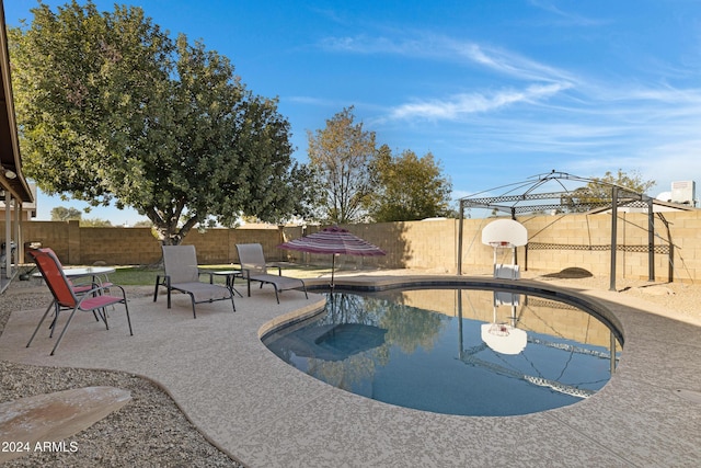 view of swimming pool featuring a patio area