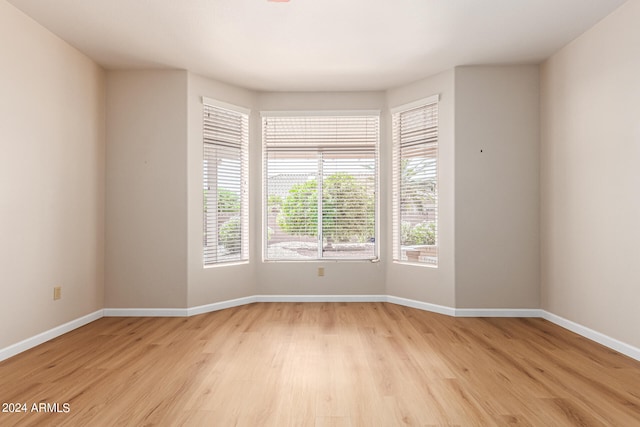 unfurnished room with light wood-type flooring