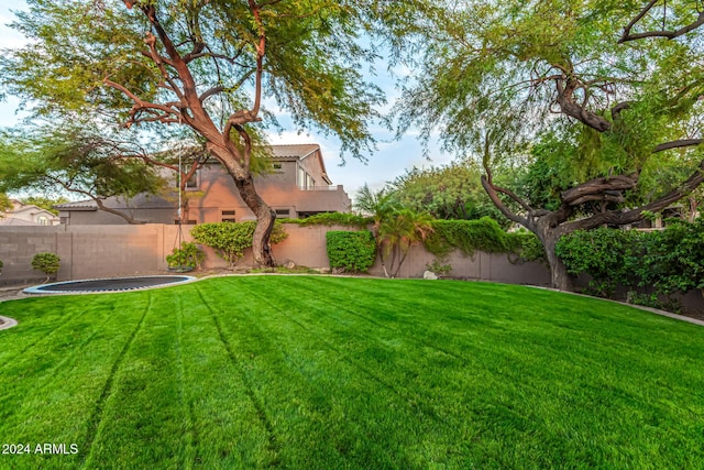 view of yard with a trampoline