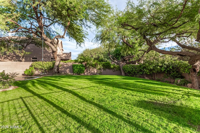 view of yard