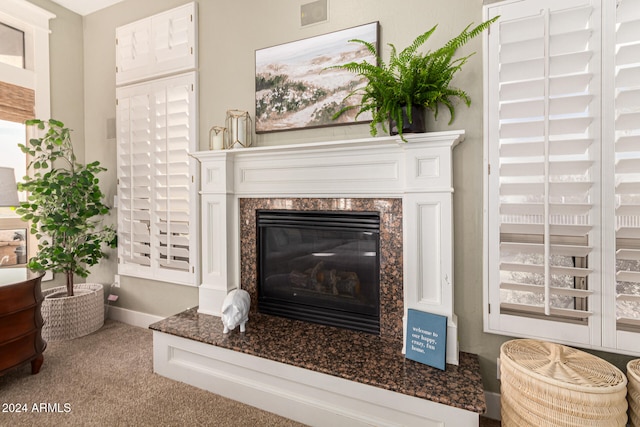 details featuring carpet and a fireplace