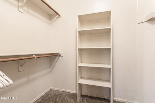 spacious closet featuring carpet flooring