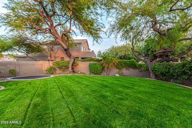 view of yard featuring a trampoline