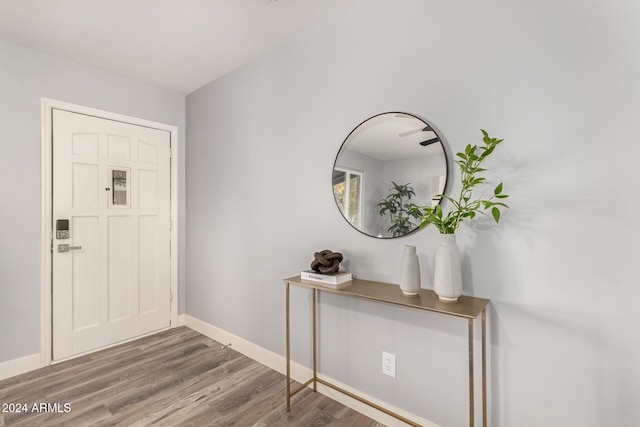 entrance foyer featuring hardwood / wood-style floors