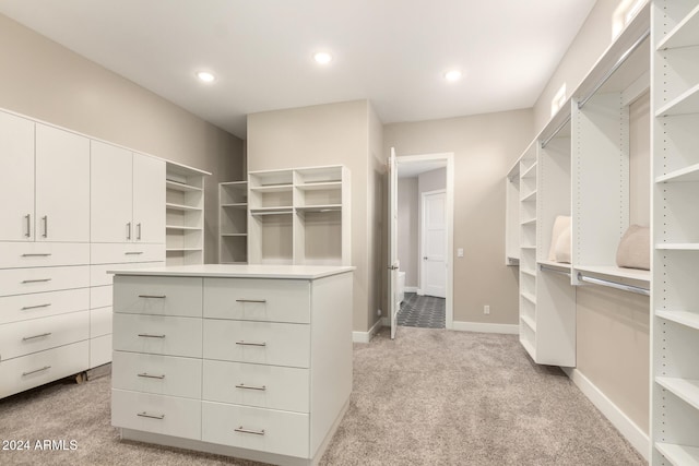 spacious closet with light colored carpet