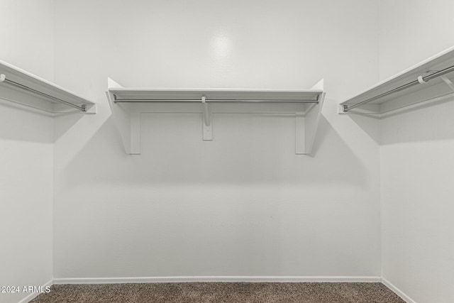 spacious closet featuring dark colored carpet