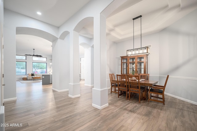 dining area featuring ceiling fan and wood-type flooring