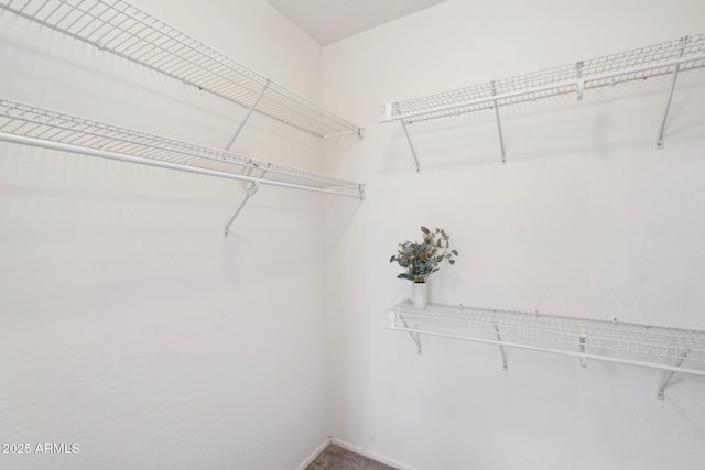 view of spacious closet