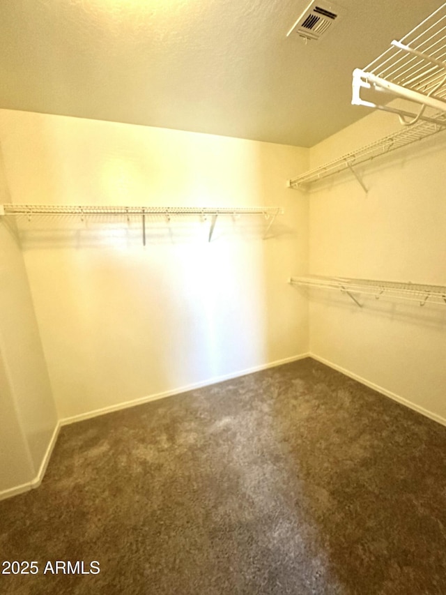 23284 W Pima St, Buckeye, AZ 85326 - walk in closet with dark carpet
