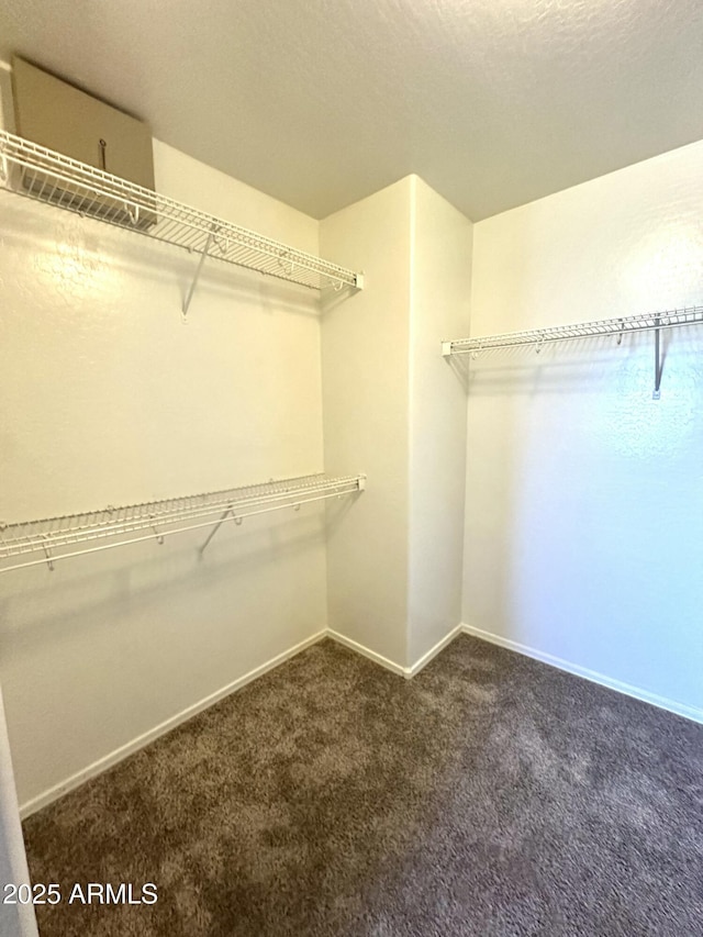 23284 W Pima St, Buckeye, AZ 85326 - spacious closet featuring carpet flooring