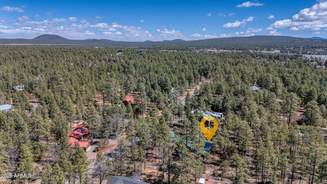 bird's eye view with a forest view and a mountain view