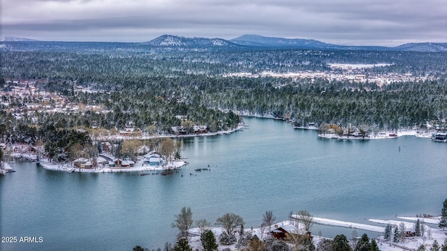 aerial view featuring a wooded view and a water and mountain view